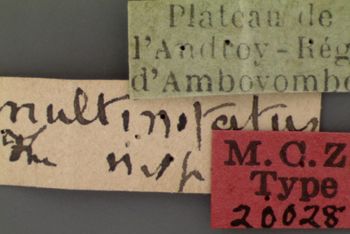 Media type: image;   Entomology 20028 Aspect: labels
